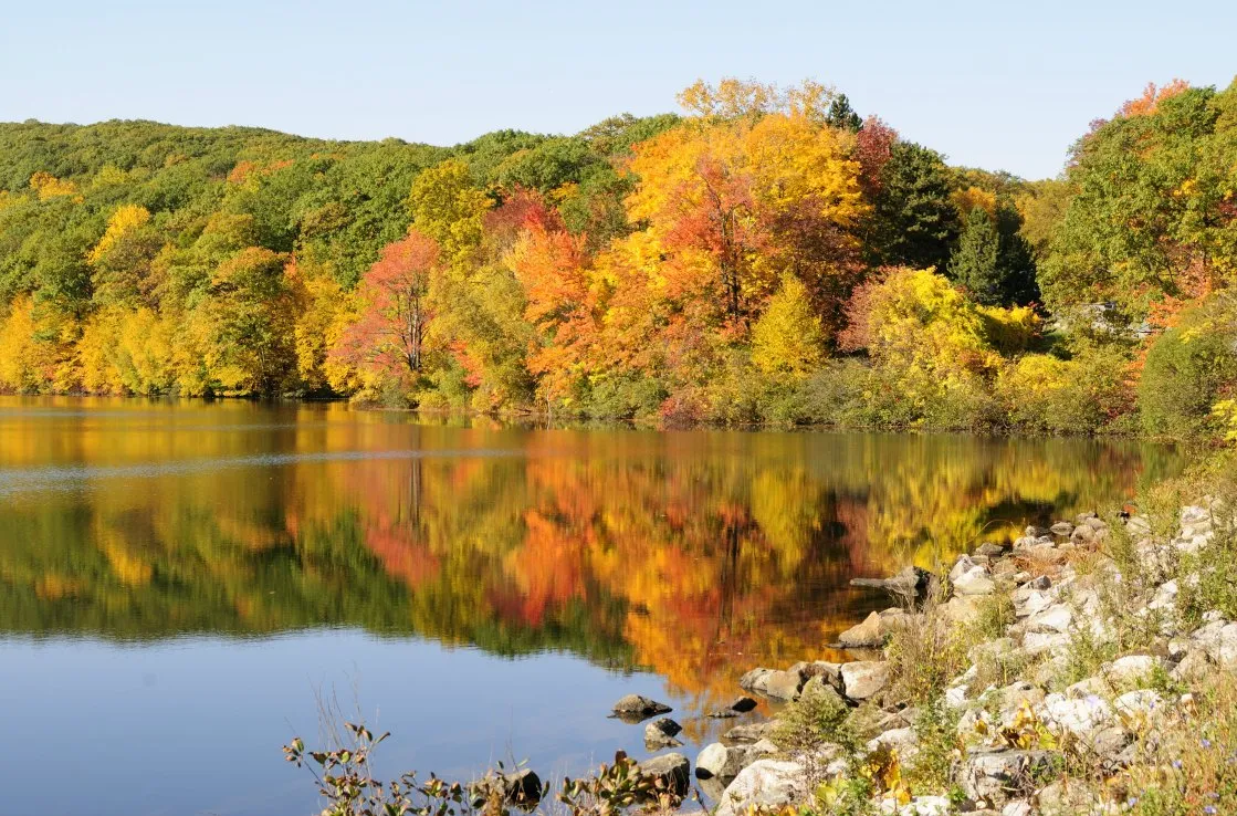 Harriman State Park